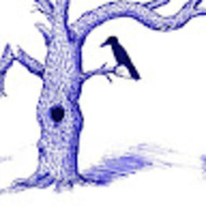 Meet your Posher, Nathan